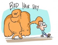 Bad Hair Day by Alexander Matthews