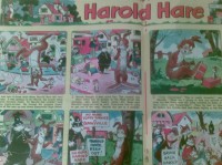 Haroldhare 1.jpg