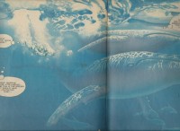 Scan0075 (1).jpg
