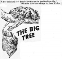 bigtreeeg.jpg