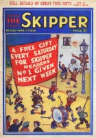 Skicover445.jpg