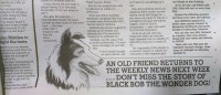 Black Bob Weekly News.jpg