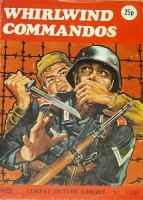 Micron 1120 Whirlwind Commandos.jpg