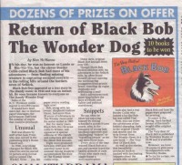 ebay annuals 131.jpg