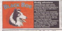 ebay annuals 146.jpg